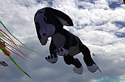 RIMINI 2012 - 281